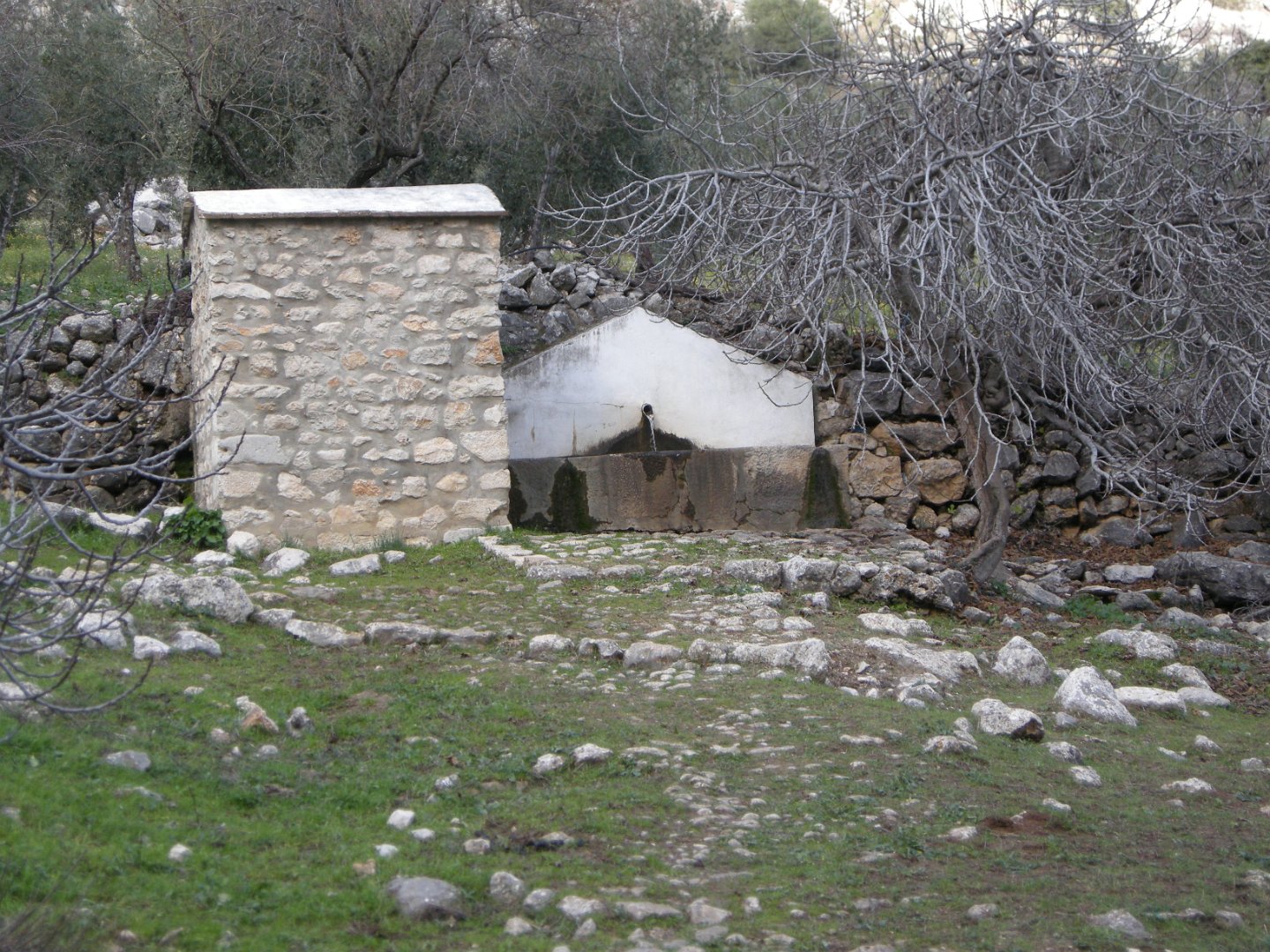 Grazalema_2018 156